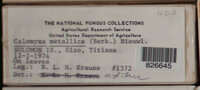 Image Associated With the Occurrence